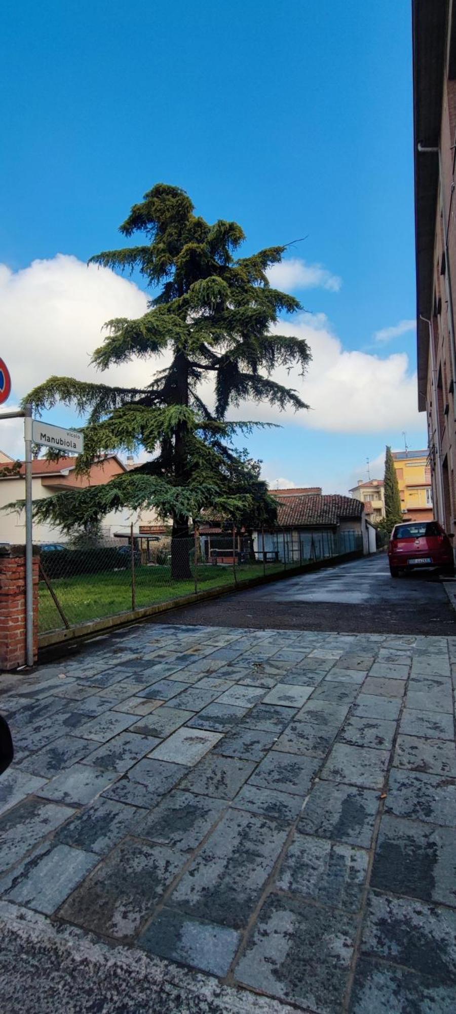 La Porta Verde 8 Collecchio Buitenkant foto